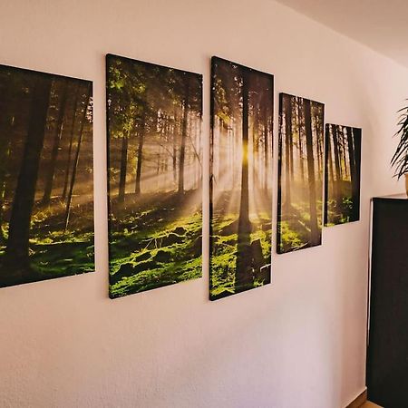 Franzis Feriendomizil Im Herzgebirge Am Skihang Auerbach  Luaran gambar