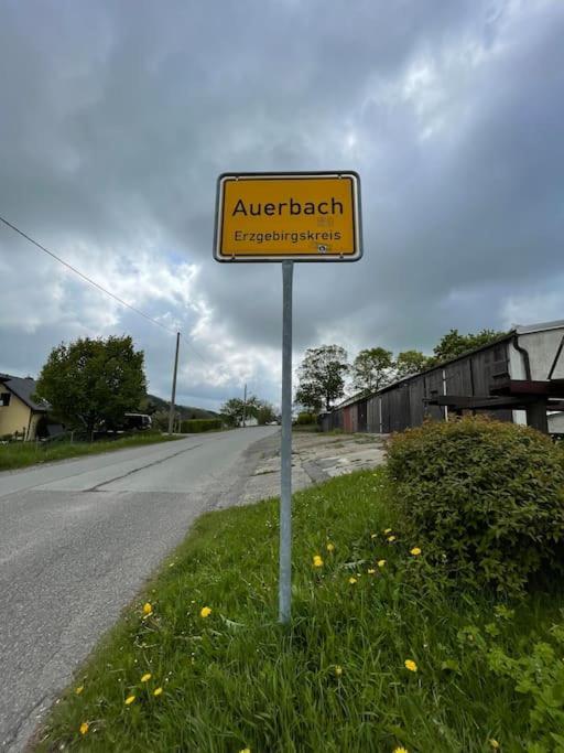Franzis Feriendomizil Im Herzgebirge Am Skihang Auerbach  Luaran gambar