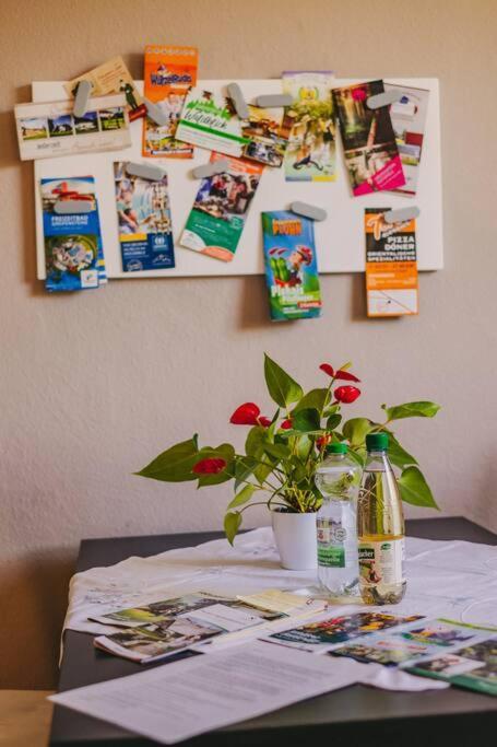Franzis Feriendomizil Im Herzgebirge Am Skihang Auerbach  Luaran gambar