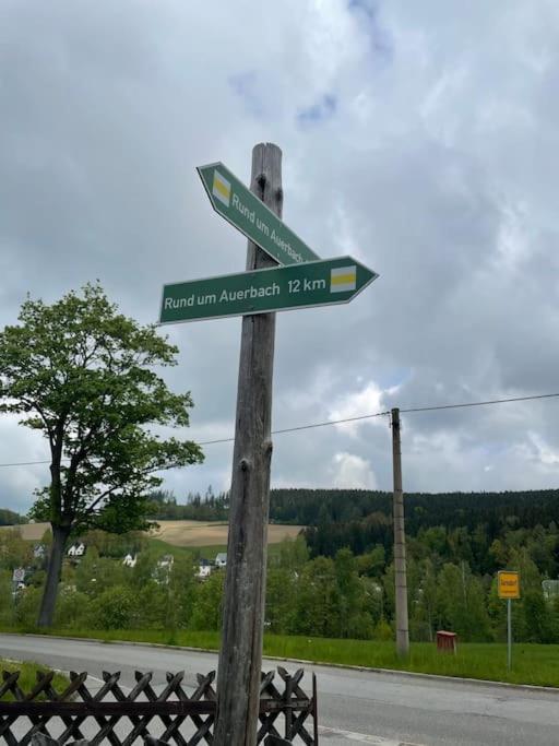 Franzis Feriendomizil Im Herzgebirge Am Skihang Auerbach  Luaran gambar